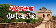 黄网夢莉花中国北京-八达岭长城旅游风景区