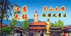 性生活免费网站视频江苏无锡灵山大佛旅游风景区